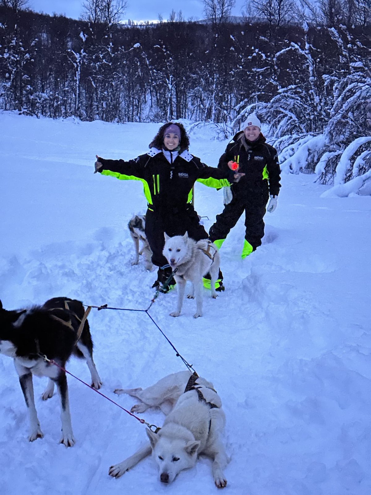 Dos viajeras con perros de trineo en un bosque nevado