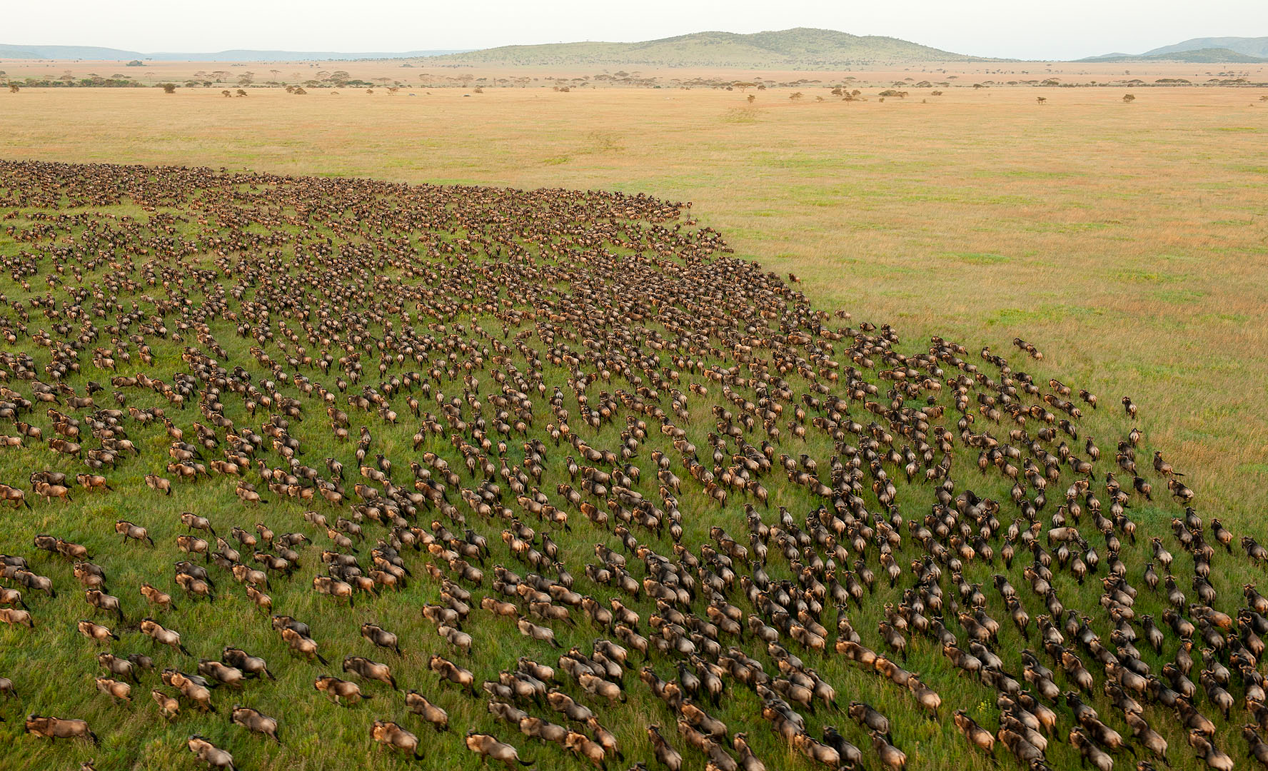 Tanzania