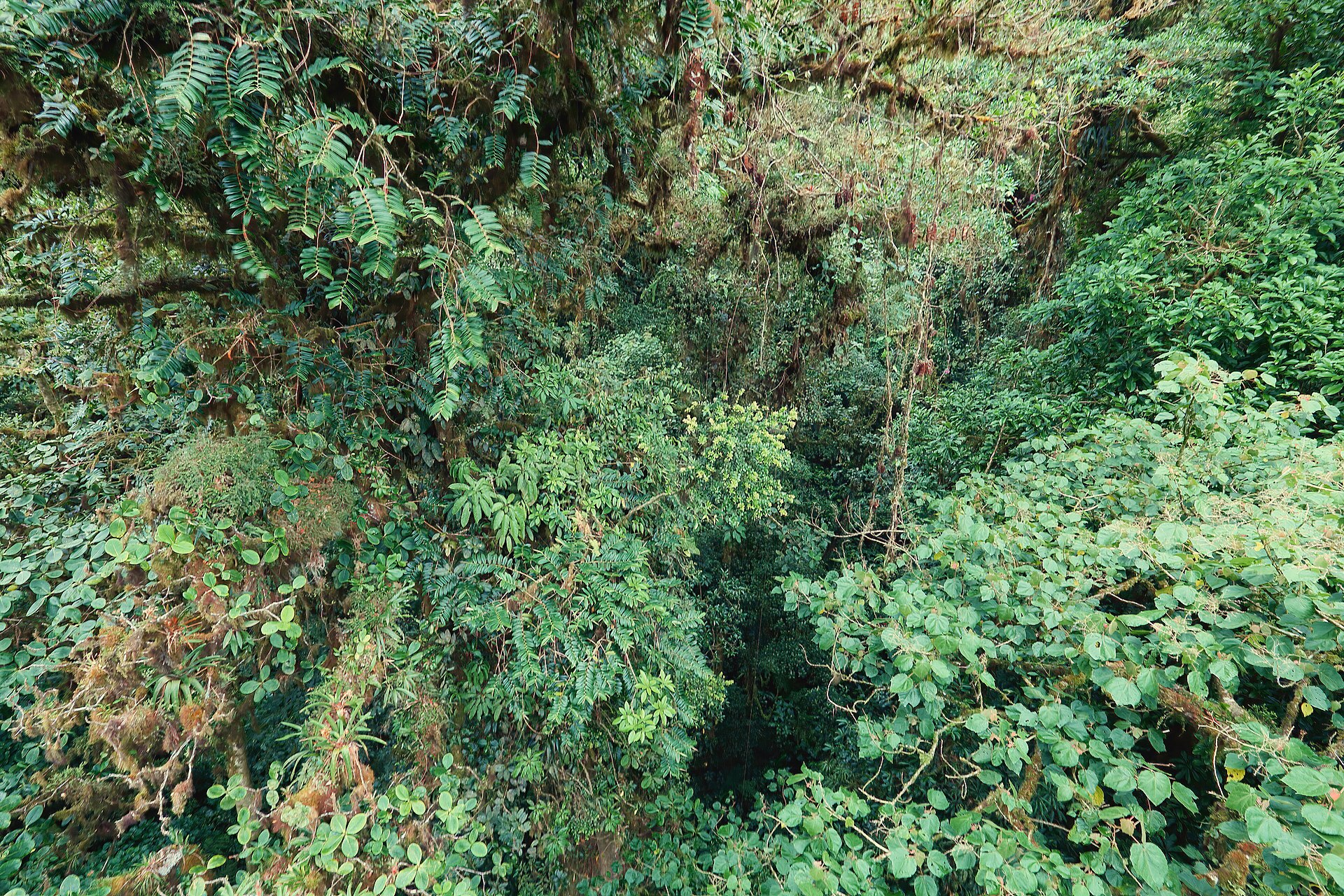 Costa Rica