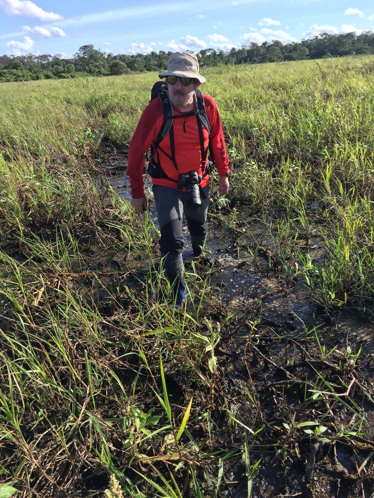 Selva boliviana