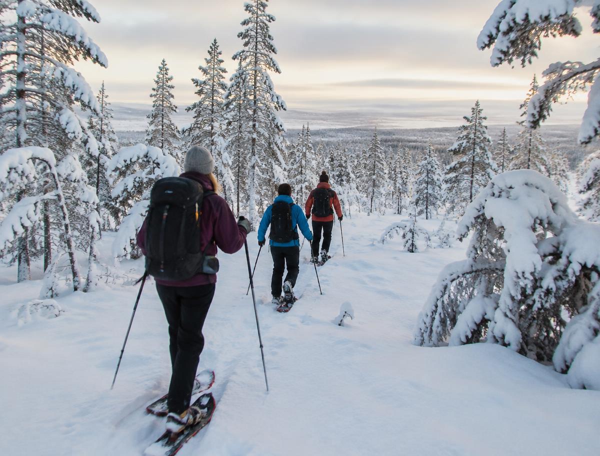 Caminata con raquetas de nieve en el bosque de Laponia